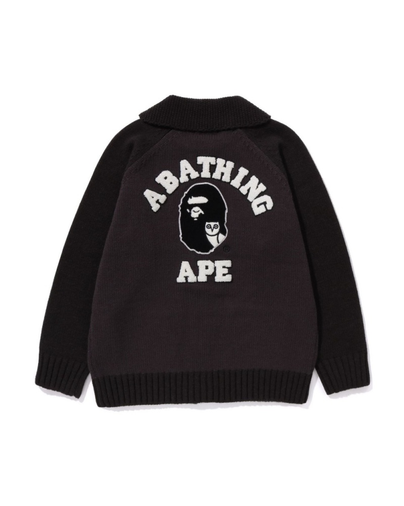 Chandails Bape X OVO Cowichan Grise Homme | CGQ-98618574